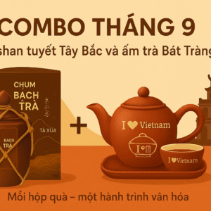Combo Bạch Trà + Ấm