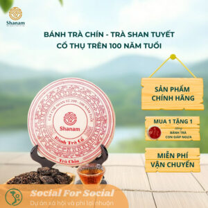 Bánh Trà Chín Shanam - Trà Shan Tuyết Cổ Thụ Việt Nam Trên 100 Năm Tuổi, Giúp Ngủ Ngon, Tiêu Hoá Tốt