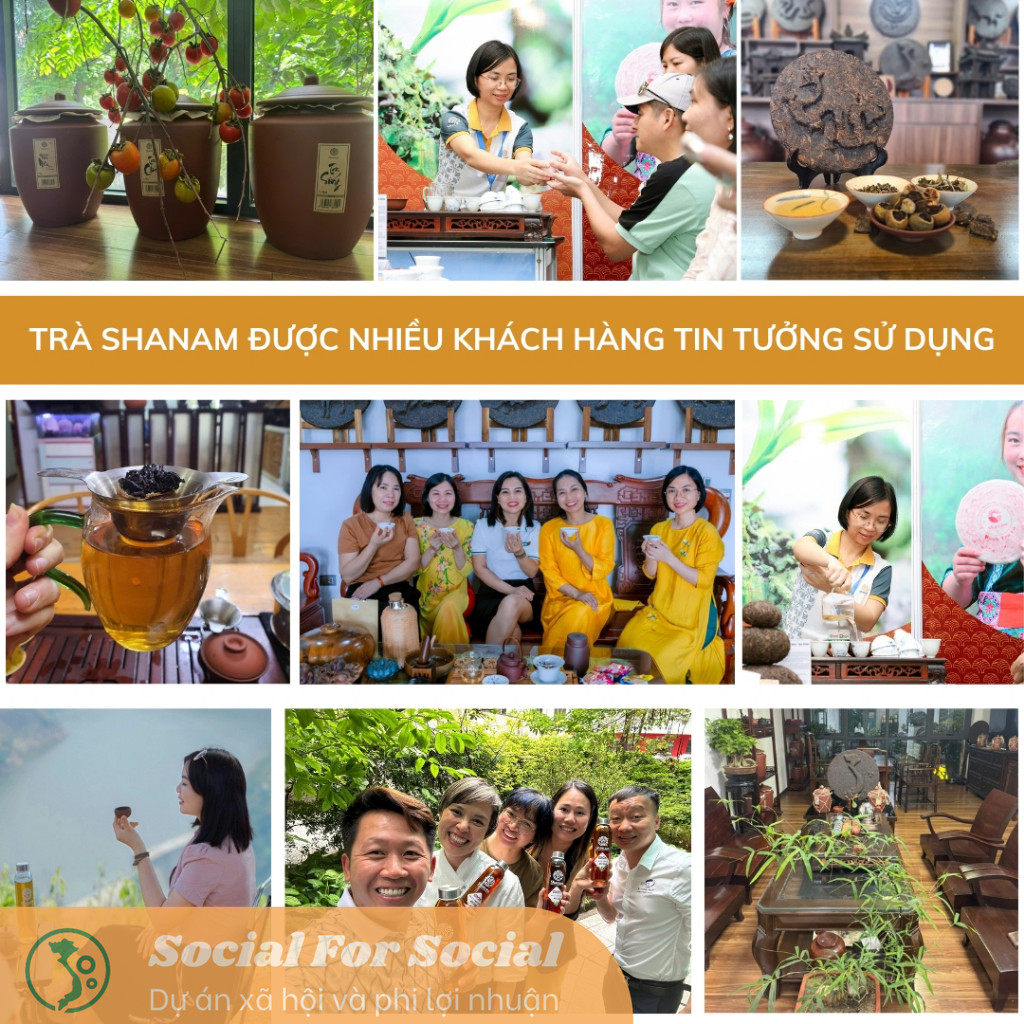 Trà xanh Viên hộp 80G - Trà Shan Tuyết Cổ Thụ Tà Xùa - Image 9