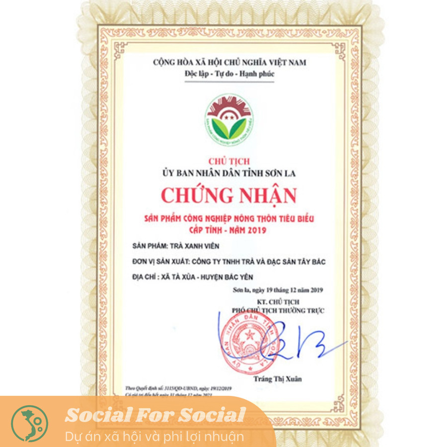 Trà xanh Viên hộp 80G - Trà Shan Tuyết Cổ Thụ Tà Xùa - Image 7