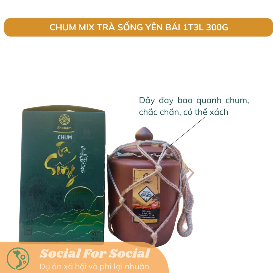TRÀ VÀNG - CHUM MIX TRÀ SỐNG YÊN BÁI 1T-3L 300G-Shanam - Image 3