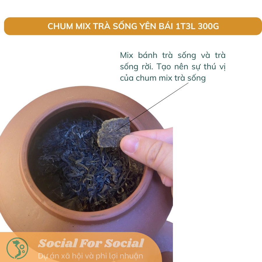 TRÀ VÀNG - CHUM MIX TRÀ SỐNG YÊN BÁI 1T-3L 300G-Shanam - Image 8