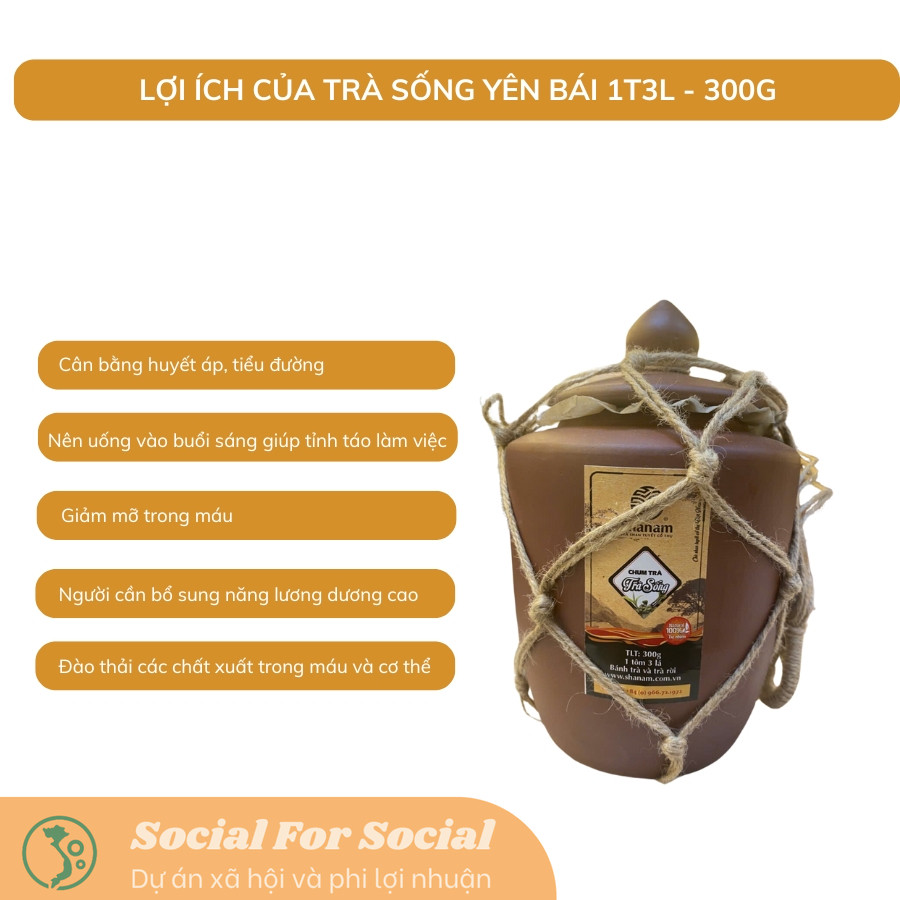 TRÀ VÀNG - CHUM MIX TRÀ SỐNG YÊN BÁI 1T-3L 300G-Shanam - Image 4