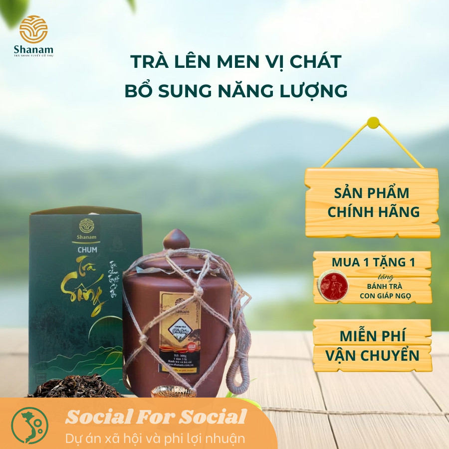 TRÀ VÀNG - CHUM MIX TRÀ SỐNG YÊN BÁI 1T-3L 300G-Shanam