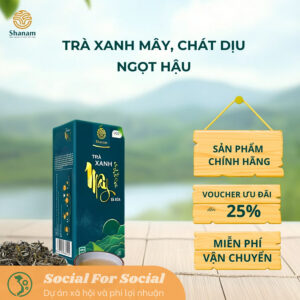 Trà Xanh Mây SHANAM - Lục Trà Shan Tuyết Cổ Thụ Tự Nhiên Tà Xùa Hộp 80G
