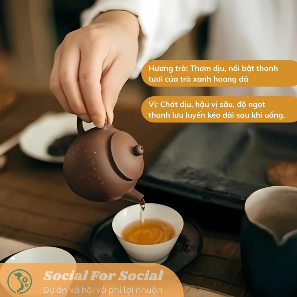 TRÀ VÀNG - TRÀ SỐNG YÊN BÁI 1T-3L HỘP 100G - Image 4