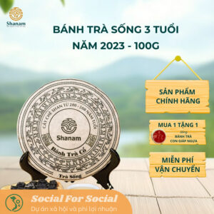 Bánh trà sống 2023 Shan Tuyết Cổ Thụ - Bánh tròn 100g