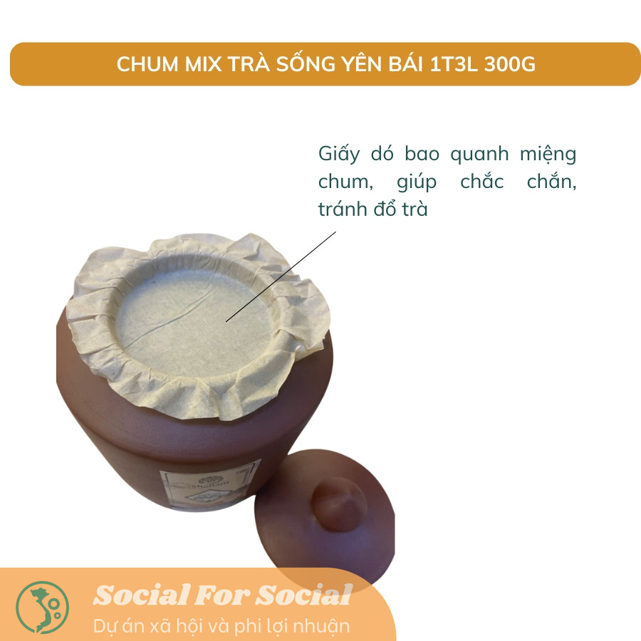 TRÀ VÀNG - CHUM MIX TRÀ SỐNG YÊN BÁI 1T-3L 300G-Shanam - Image 7