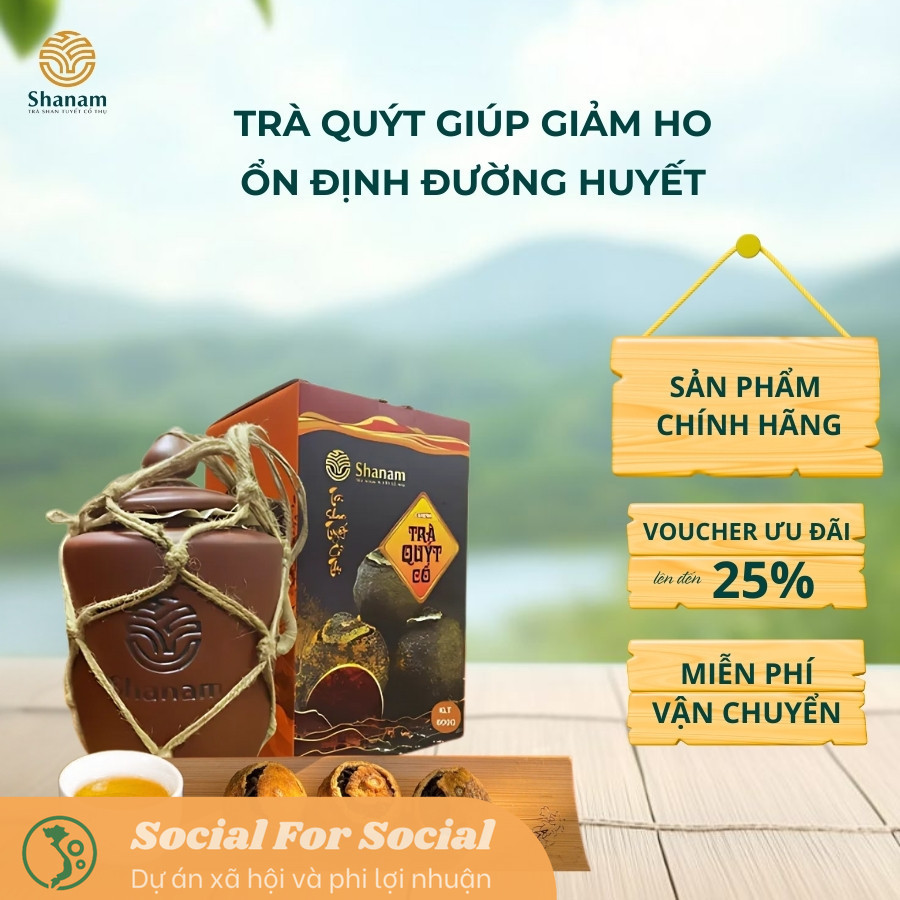 Chum Trà Quýt Cổ SHANAM Trà Shan Tuyết Cổ Thụ Tự Nhiên 600G