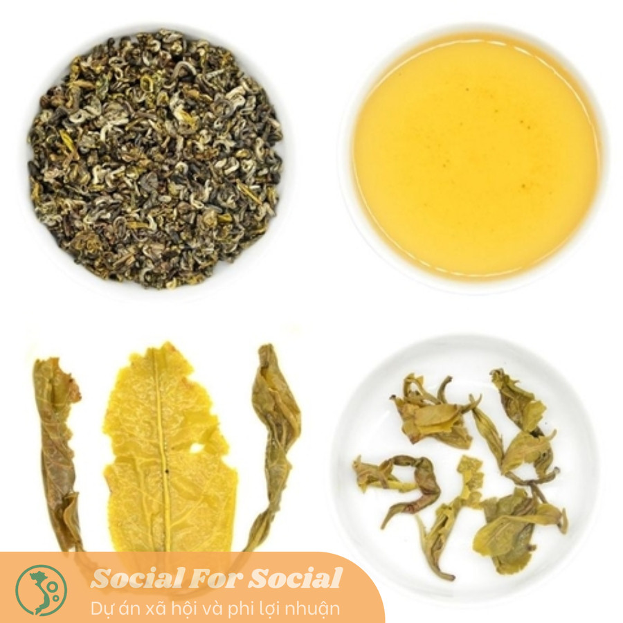 Trà xanh Viên hộp 80G - Trà Shan Tuyết Cổ Thụ Tà Xùa - Image 4