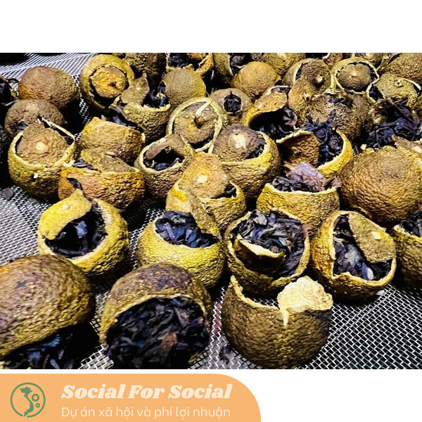 Chum Trà Quýt Cổ SHANAM Trà Shan Tuyết Cổ Thụ Tự Nhiên 600G - Image 8